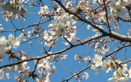 Mindful Intimacy Pt 2: Empathetic Communication