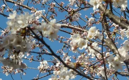 Mindful Intimacy Pt 3: Returning To Love