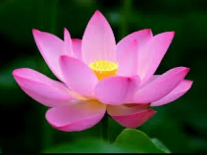 Introduction To Simple Mindfulness 