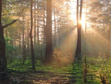 Mindful (Kind) Communication With Ourselves