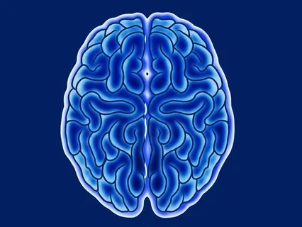 Mindful Leader: Basic Attention Practice