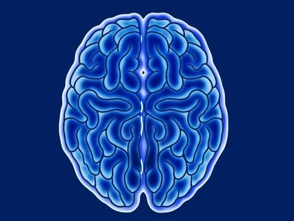 Mindful Leader - Getting Started