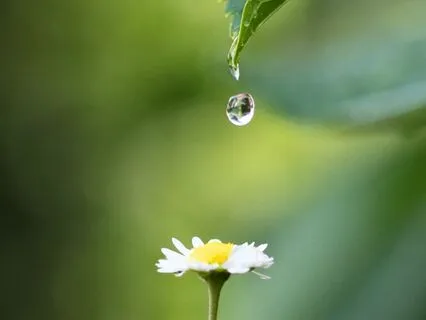 Present Moment Awareness: A Simple Mindfulness Exercise