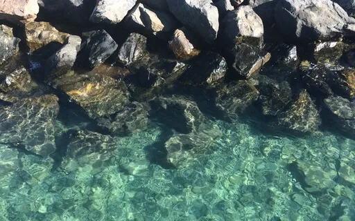 Mindful Meditation Break