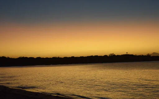 Mindful Meditation - Equanimity