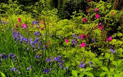 Mindful Meditation For Grounding, Presence & Strength