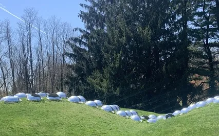 Mindful Meditation For Grounding