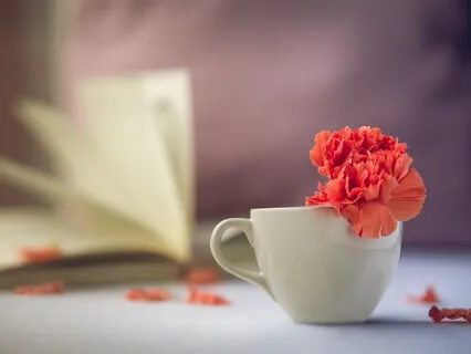 Mindful Meditation For OCD