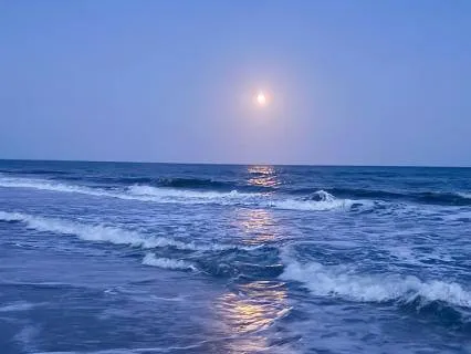 Mindful Meditation For Vacation