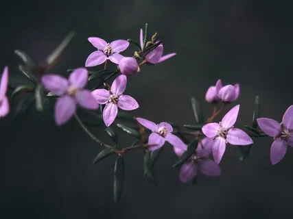 Mindful Meditation: Loving-Kindness (Full)