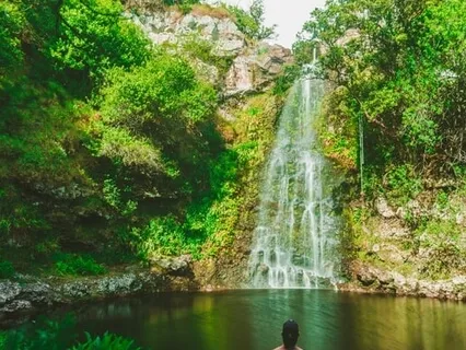 Mindful Awareness Practice