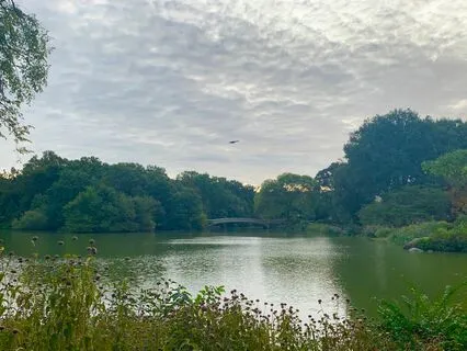 Mindful Meditation On The Essence Of Life