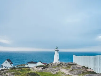 You Are Home: Mindful MediZEN