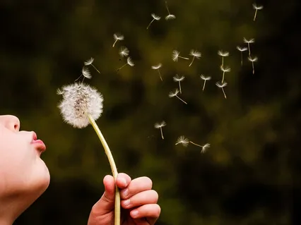 Mindful Meetings: Breathing Together