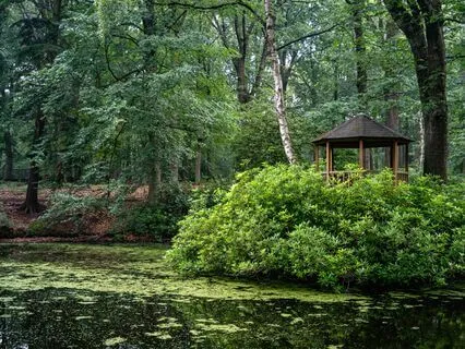 Mindful Melodies: Ease Anxiety