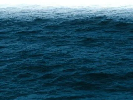 Mindful Message: Embracing Your Purpose