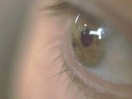 Mindful Metaphors - The Observing Self