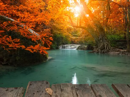 Mindful Minute Therapeutic Gold Crystal Singing Bowl G# Note