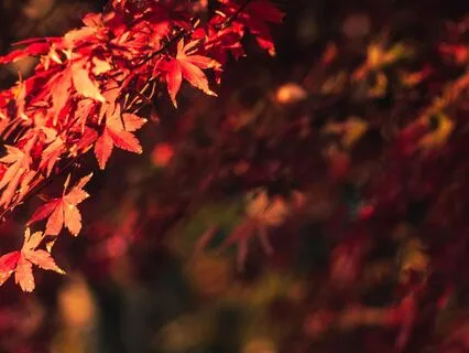 Mindful Minutes: 3-Minute Relax & Reset