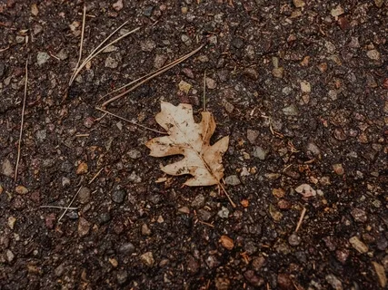 Mindful Minutes: Deep Listening