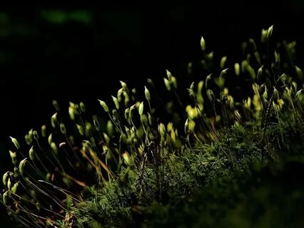 Mindful Minutes: Safe Space Within