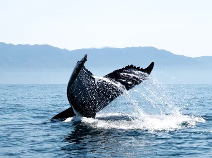 Mindful Moment - Becoming