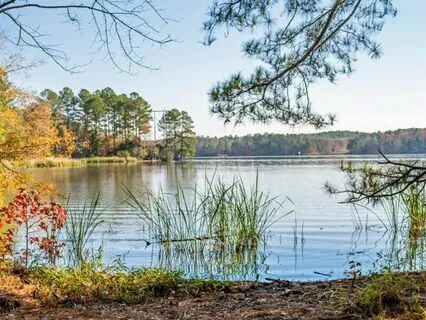 Mindful Moment For Tired Parents