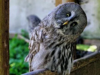 Mindful Moment-Meditative Mind Vs Reactive Mind