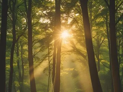 Mindful Moment: Notice What Is Here