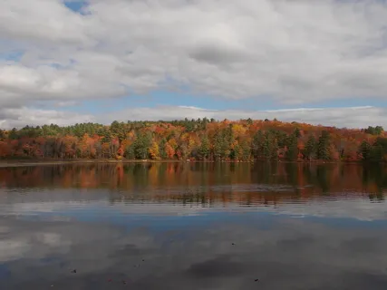 Mindful Moment Of Santosha