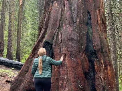 Mindful Moment: Staying With Discomfort & Unpleasant Emotions