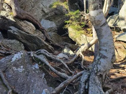 Mindful Moment: Steady