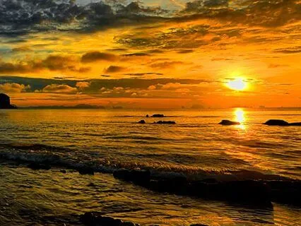 Mindful Moment : The Moment You Notice You're Distracted