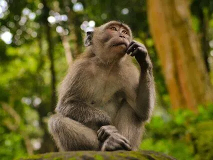 Mindful Moment - What Is Mindfulness?