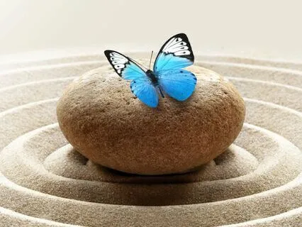 Mindful Moments: A Calming Meditation