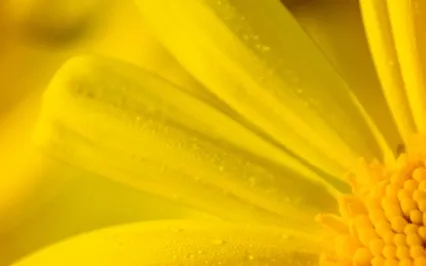 Mindful Moments - Becoming Yourself