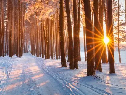 Mindful Moments: Cultivate Awareness Daily