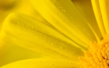 Mindful Moments - Embracing Yourself