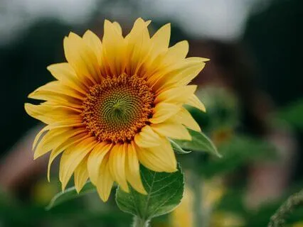 Mindful Moments Of Self-Trust