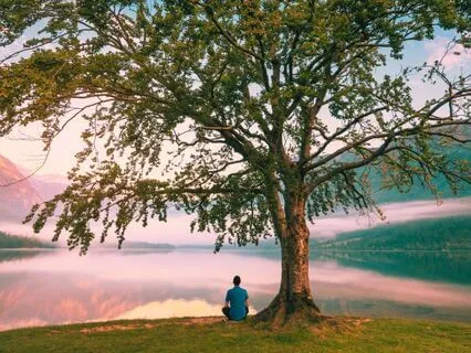 Mindful Moments: Seeing Interconnection Through The Body