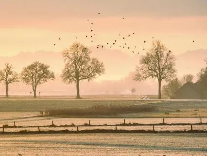 Mindful Morning: Awaken The Body And Heart