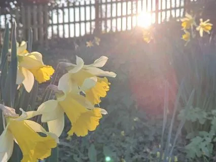Mindful Morning –  Begin With Calm, Clarity, And Kindness