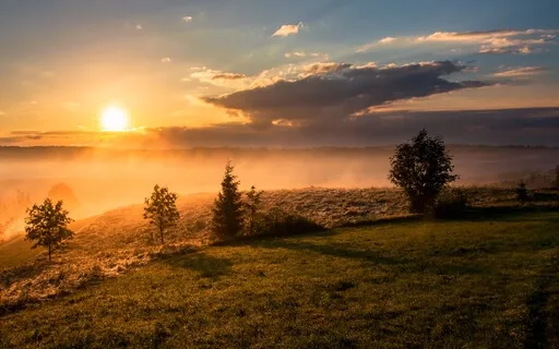 Mindful Morning Check In