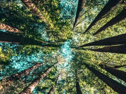 Mindful Morning Moment: Acceptance Talk