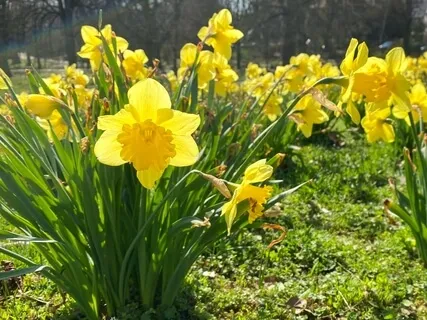 Mindful Morning Movement & Gentle Meditation 