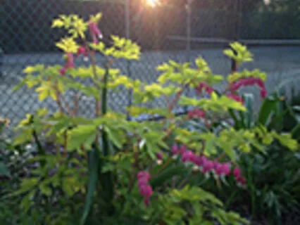 Mindful Morning with Affirmations