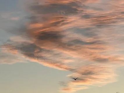 Mindful Morning Yoga In Bed