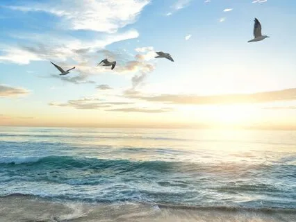 Mindful Mornings: Managing Depression