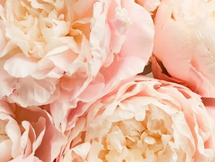 Mindful Movement: A Brief IFS Check-In