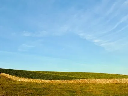 Mindfulness & Movement 4: Exploring How We Reach